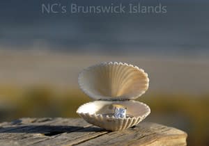 aaIMG_1800 blog 2