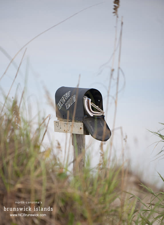 Kindred Spirit Mailbox