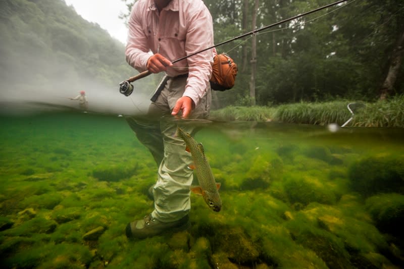 Fishing guide, Patrick Sessoms, releases a rainbow trout back into the waters of the Watauga River.
