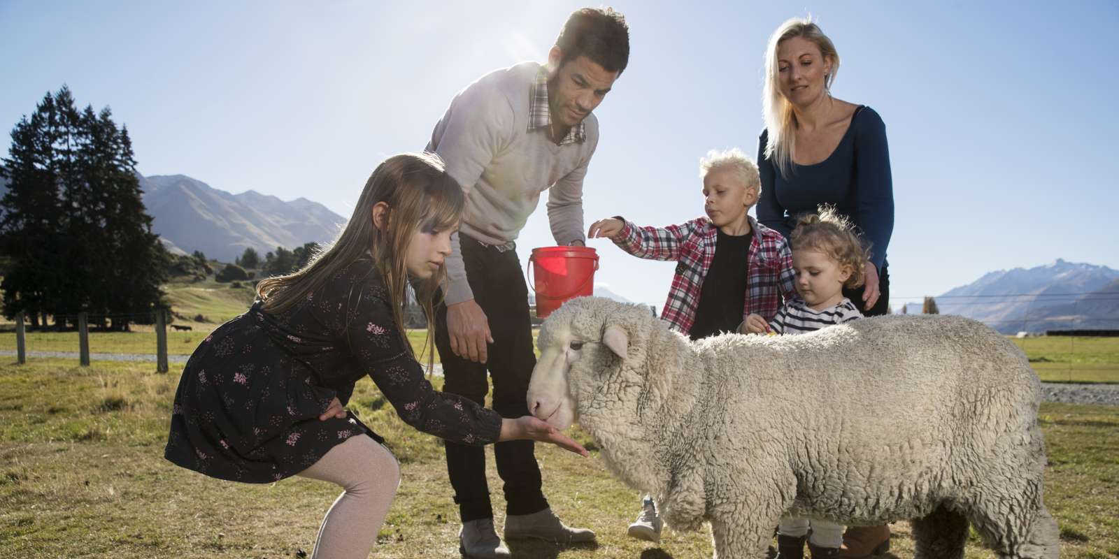 Mt Nicholas Farm Experience Family Feeding Sheep