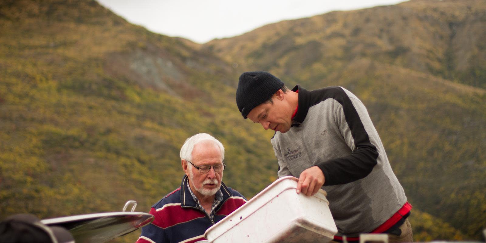 Alan Brady in Queenstown wine harvest