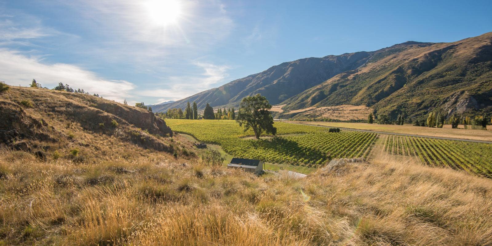 Kinross Winery Queenstown New Zealand