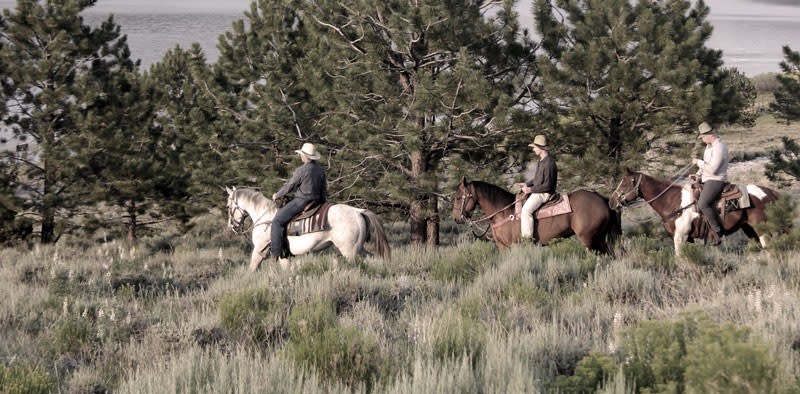 Utah Outlaws