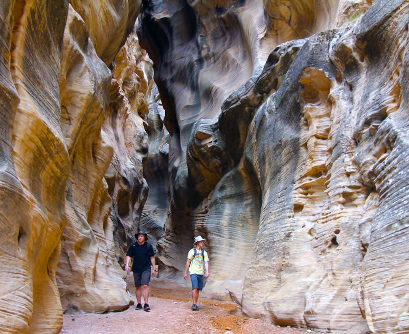 Willis Creek