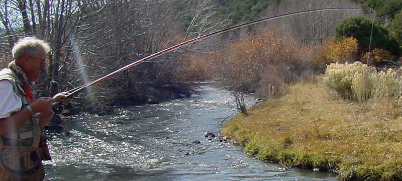 Stream fishing in southern Utah