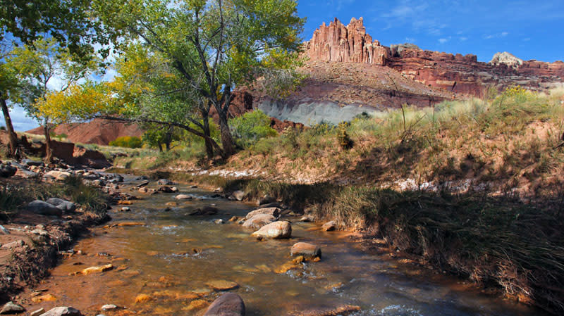 The Fremont River runs through Capitol Reef.