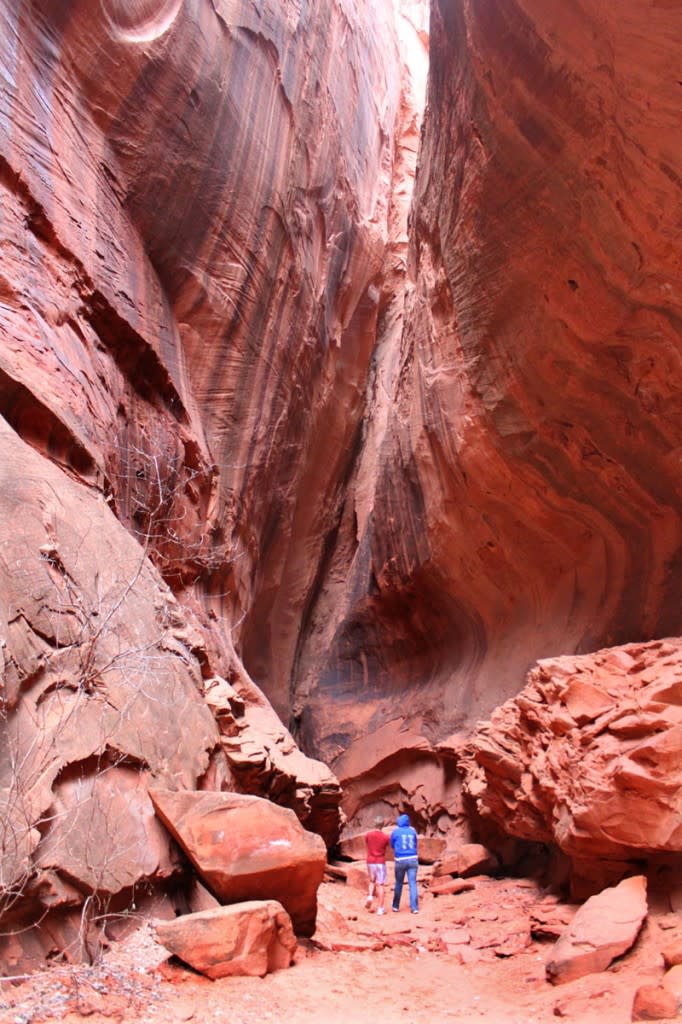 A short narrow canyon accessible from the Burr Trail.