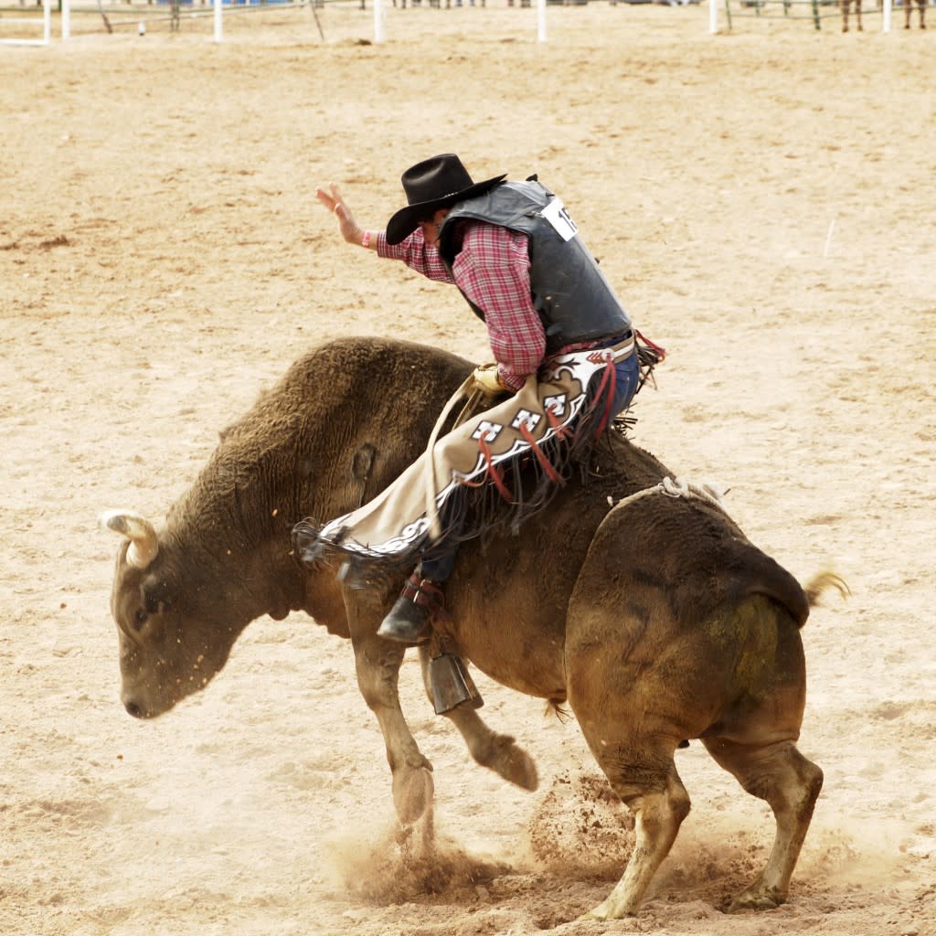 Bull Riding 1