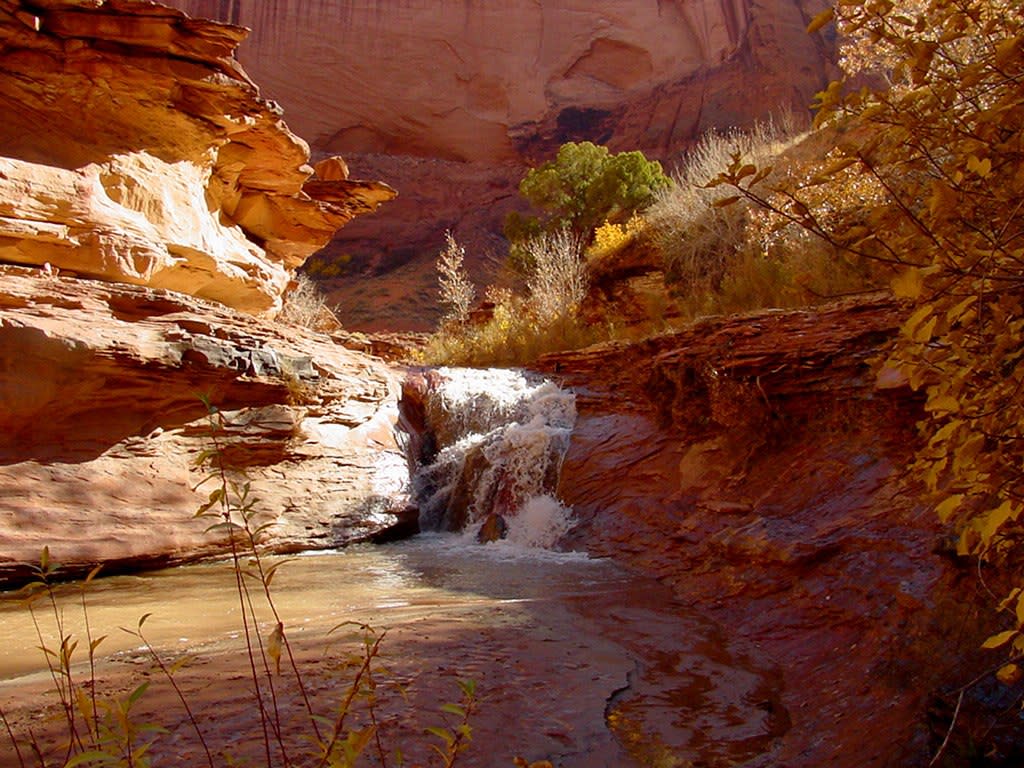 coyote-gulch-grand-staircas Coyote Gulch Slot Canyon