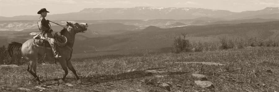 An image of a cowboy riding the Boulder Mountain area near Boulder and Escalante, Utah
