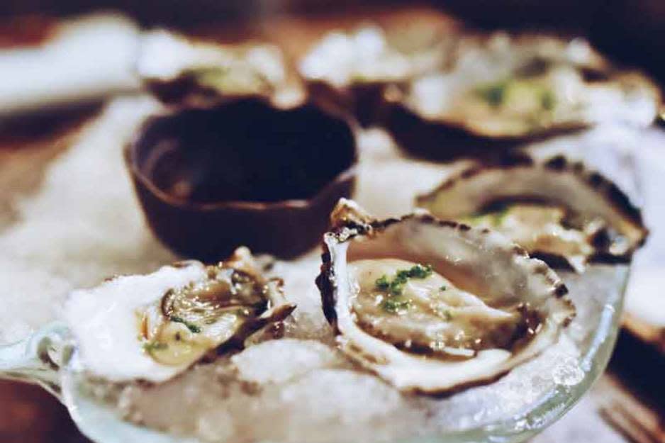 oysters-slider-800x10160_1ab55749-5056-a36a-0ba53c1f49644a7a