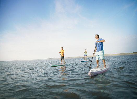 Paddleboard through North Myrtle Beach's Intracostal Waterway. 