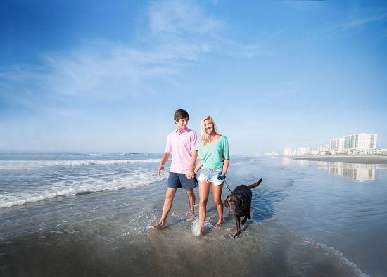 Bring your dog on a vacation to North Myrtle Beach. 