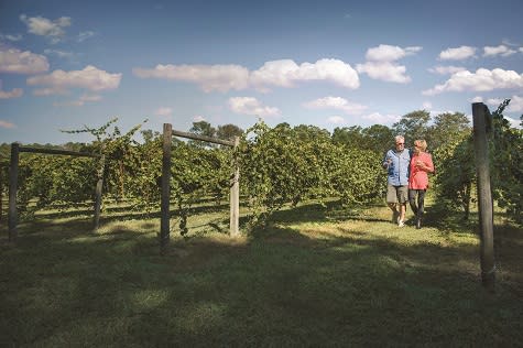 Visit La Belle Amie vineyard in North Myrtle Beach.