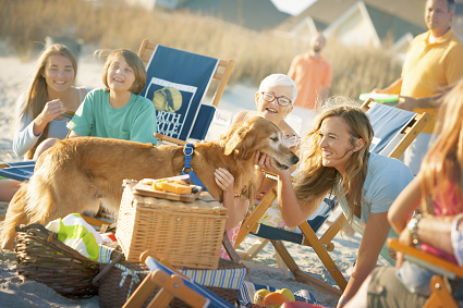 Bring your dog on a vacation to North Myrtle Beach. 