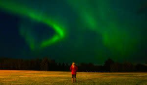 Saskatoon Northern Lights