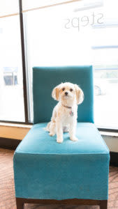 Saskatoon pet friendliest hotels