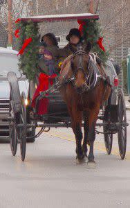 carriage5