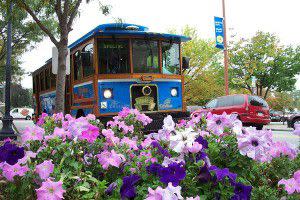 TrolleyTour2