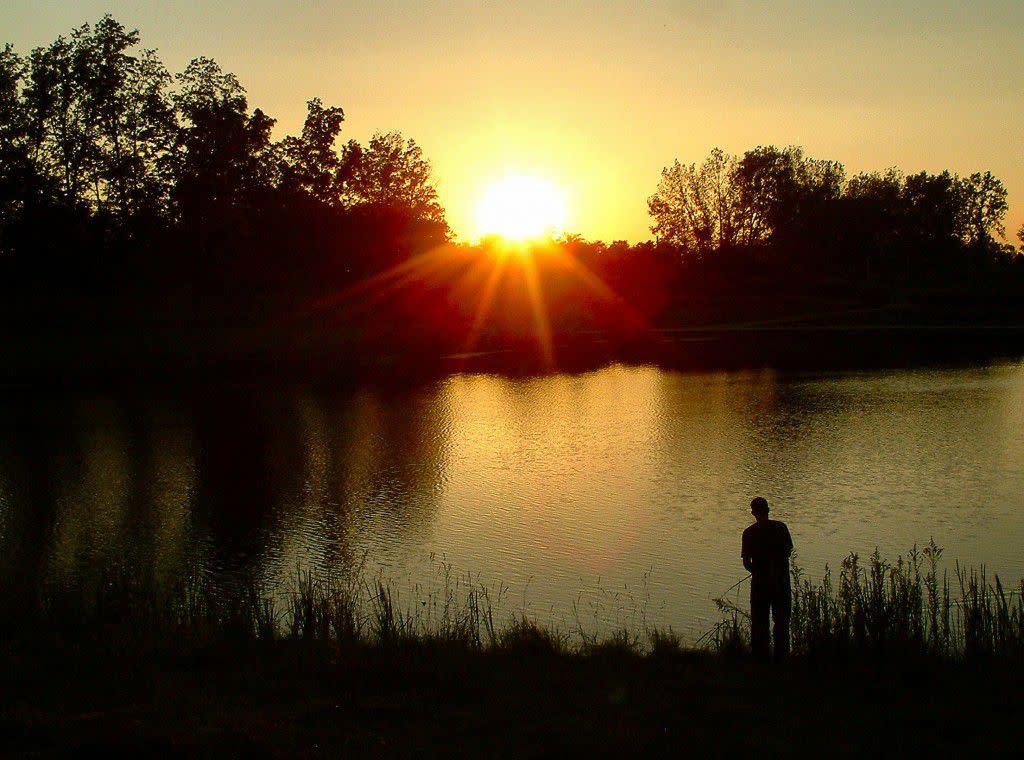 Fish Armstrong Park Dan Hester
