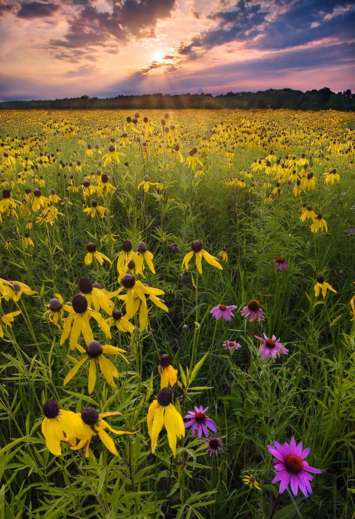 Isn't Prophetstown Beautiful??