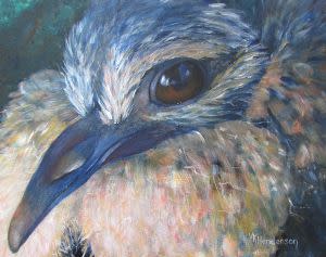 TAF Exhibition: Young Dove by Venita Henderson 
