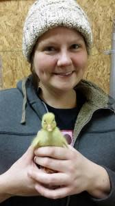 Such a cute little duckling at the Farm at Prophetstown!
