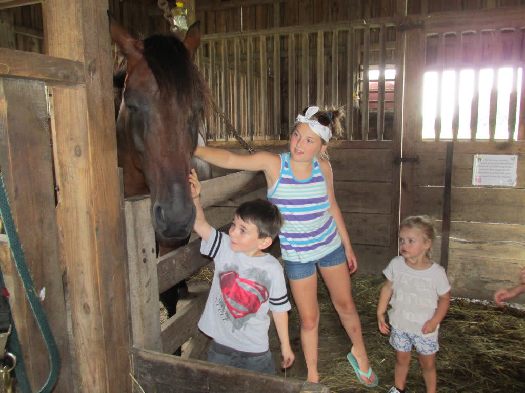 Farm 2015.4