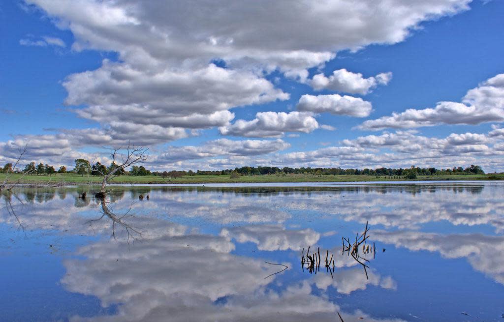 Celery Bog