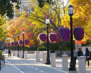 campus-baskets-walk-2014