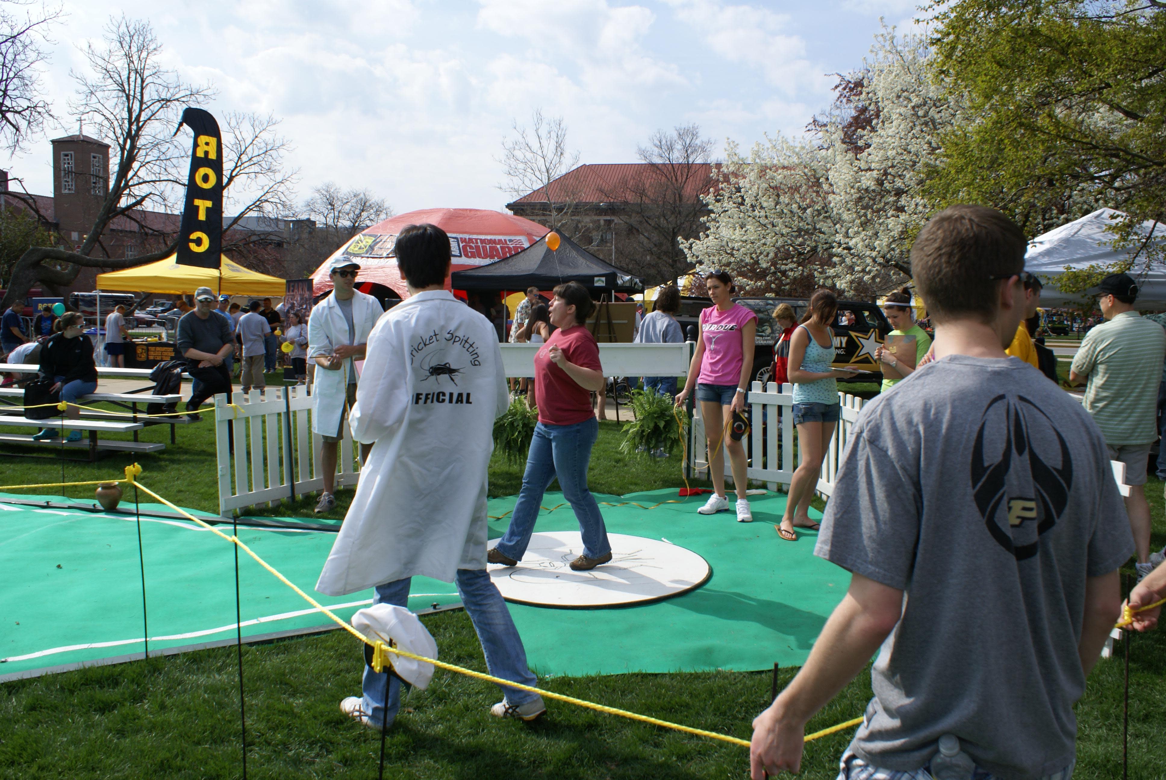 Cricket Spitting at Springfets