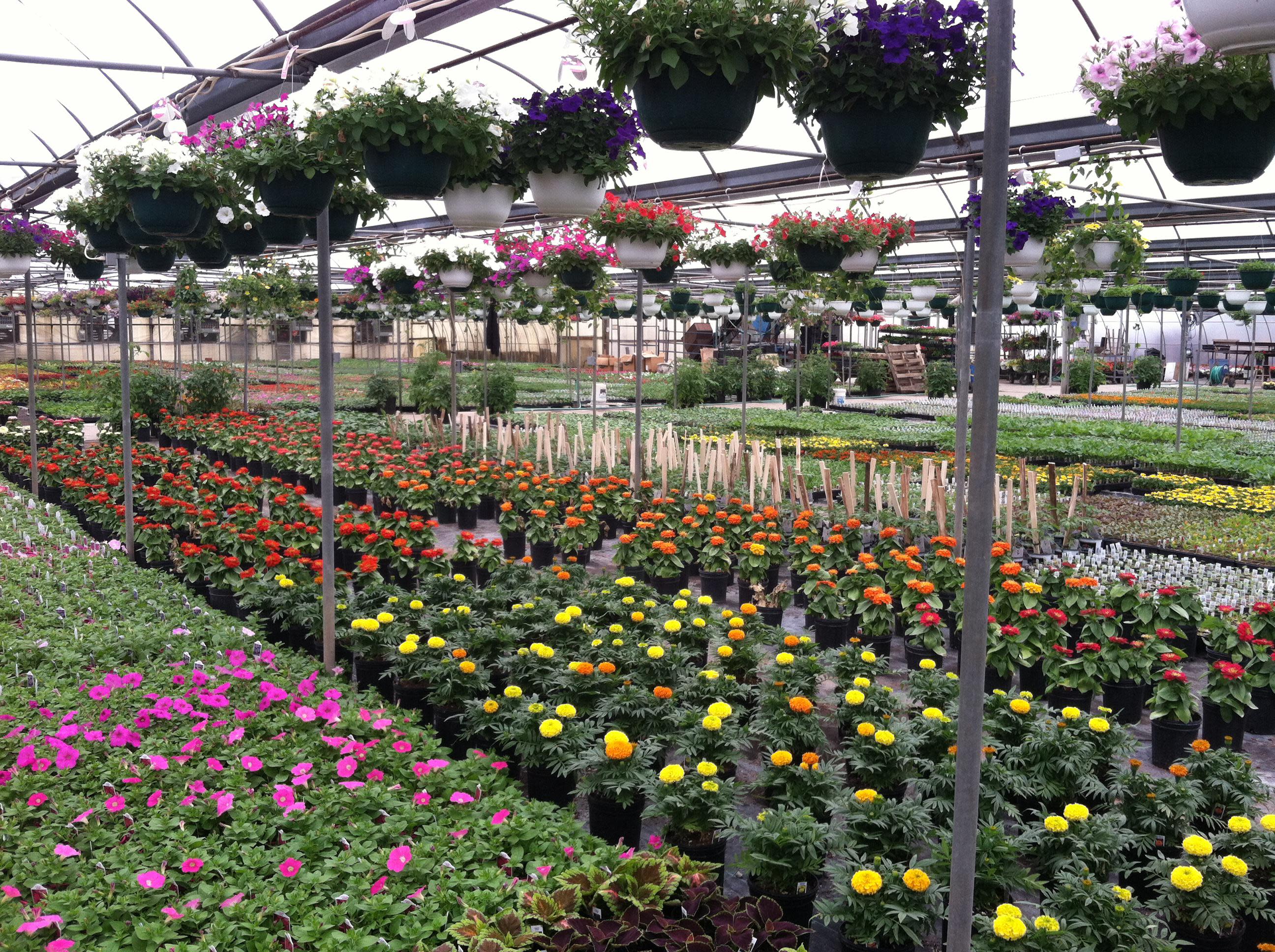Springtime at Bennett's