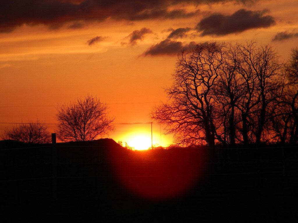 wea-orchard-2012-9jpg