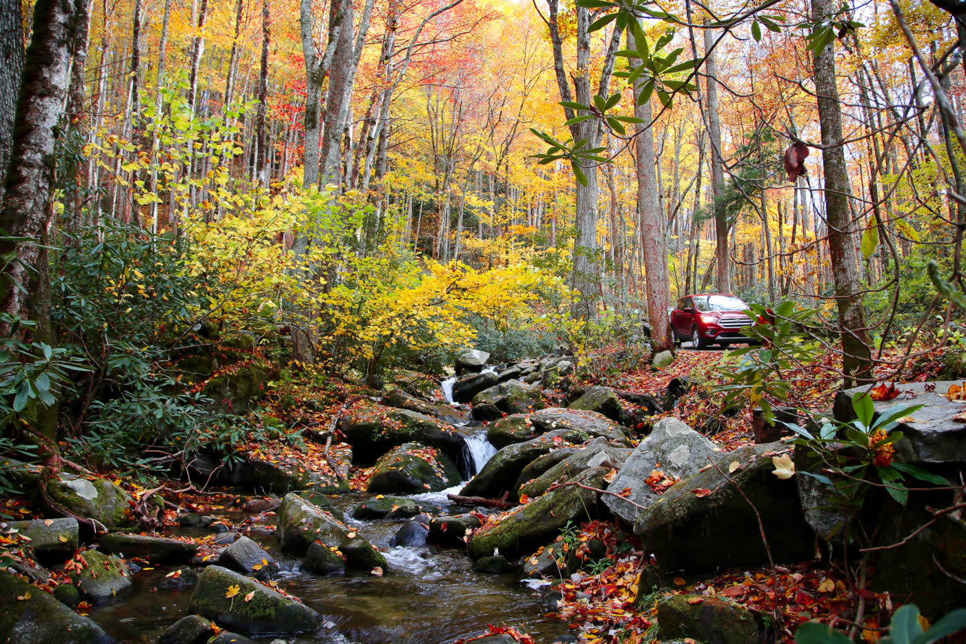 Fall Foliage in the Smoky Mountains My Bear Foot Cabins