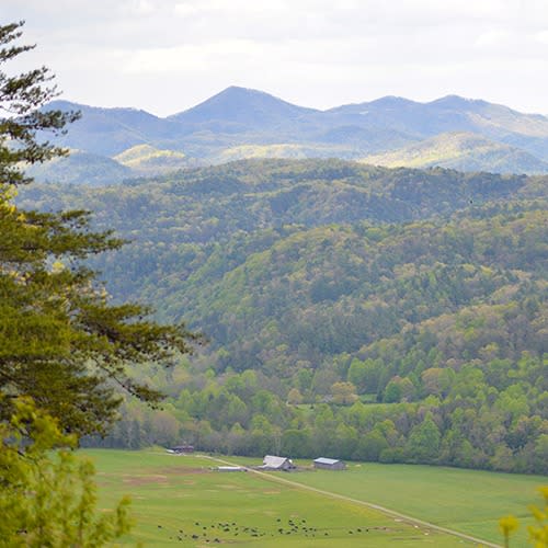 Scenic Drive along the Foothills Parkway