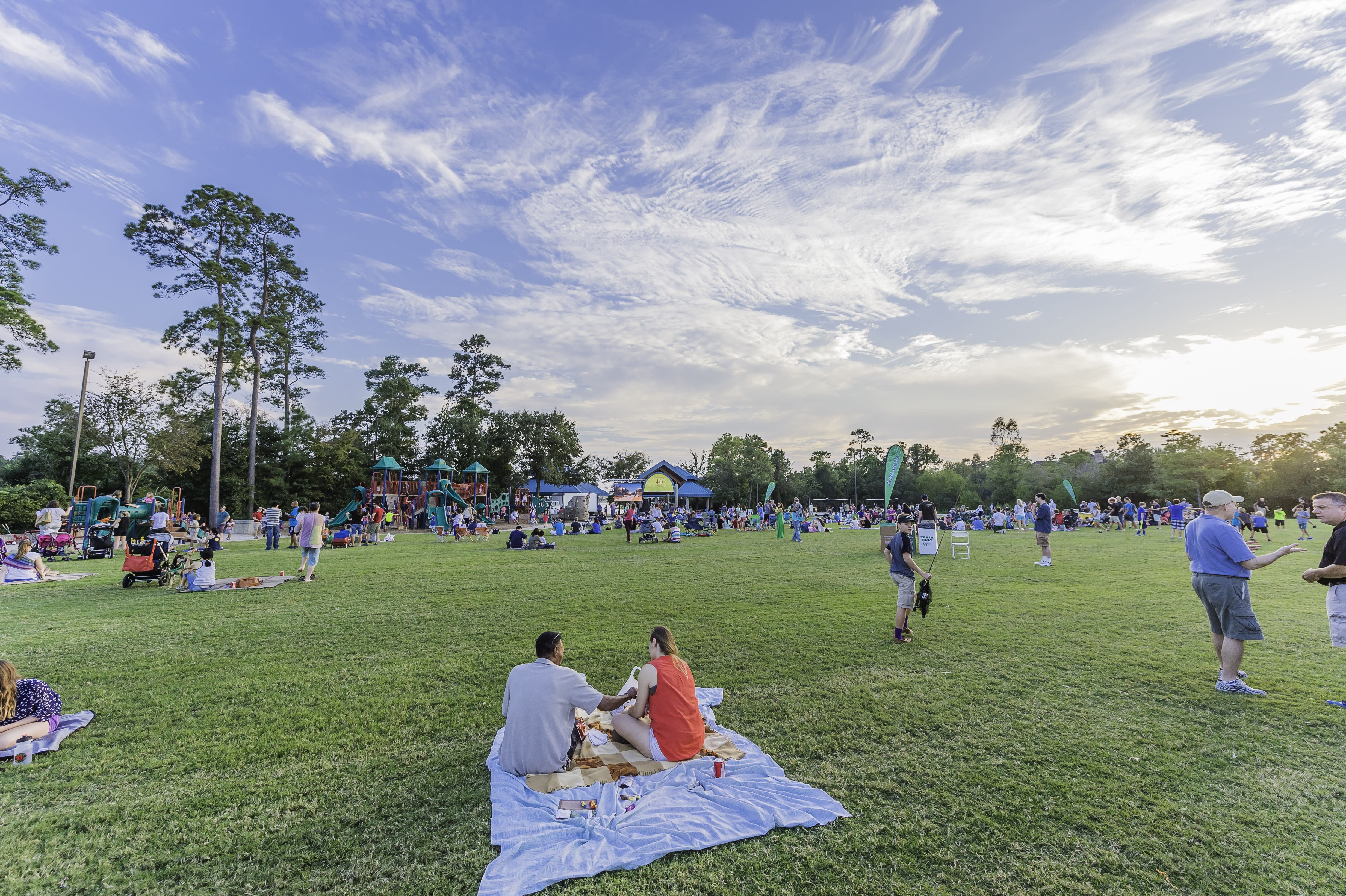 Family picnicking at Northshore Park in The Woodlands, TX