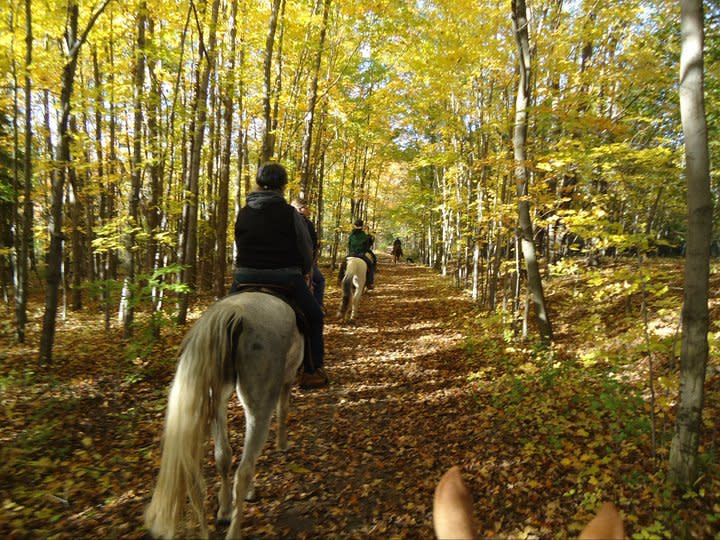 Painted Bar Stables Trail Ride2