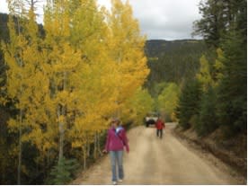 Santa Fe Walkabouts will drive you up by Pinzgauer, but you’ll want to slow down for a walk in leafy beauty.