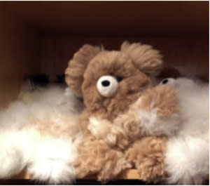 … and the teddy bears are alpaca too!