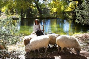 Maria had a little lamb – or two, or four. (Photo credit: El Rancho de las Golondrinas)