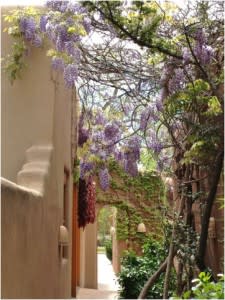 Adobe walls offer the perfect backdrop for Santa Fe’s spring colors.