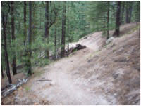Your mountain biking wish is Santa Fe’s command. (Photo courtesy of Andrew Yates Photography)