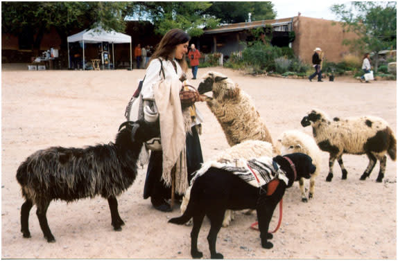 You can make friends with some frisky four-legs at El Rancho de las Golondrinas Spring Festival. (Photo Credit: El Rancho de las Golondrinas)
