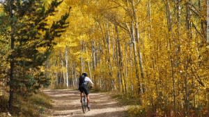 October arrives in full golden glory as aspen trees display their glowing fall colors, usually through the middle of the month. Courtesy of CNN)