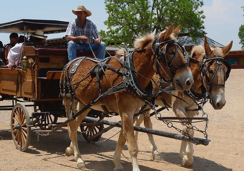 Explore life on the frontier at the Summer Festival and Wild West Adventures event. (Photo courtesy of Rancho de las Golondrinas)