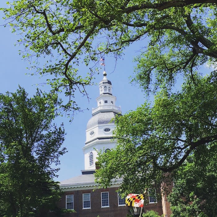 Earth Day on Maryland Avenue