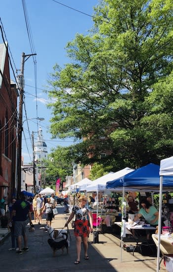 Earth Day on Maryland Avenue