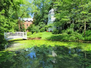 Paca House pond