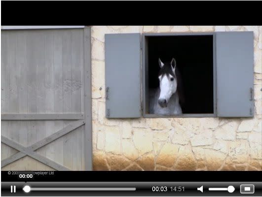 horse_country_usa
