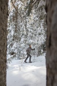 Cross country skiing uphill around Laramie, Wyoming